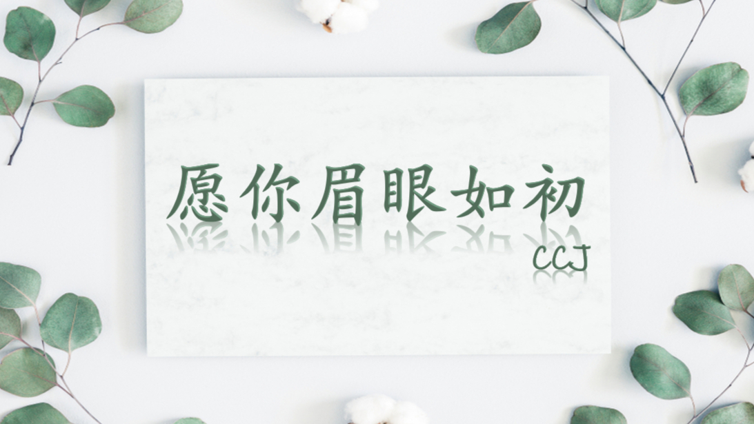 愿你眉眼如初(九辫同人)文章总结